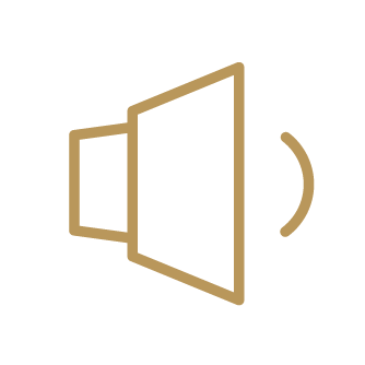 Icon of a speaker depicting volume